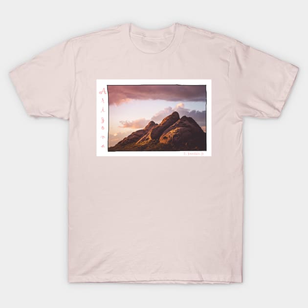 Arizona Lanscape Polaroid T-Shirt by ejourdainjr